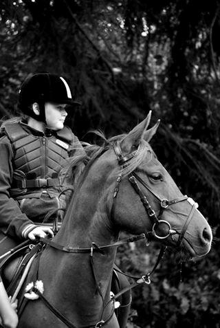 Anden særlig race Spirit billede 11