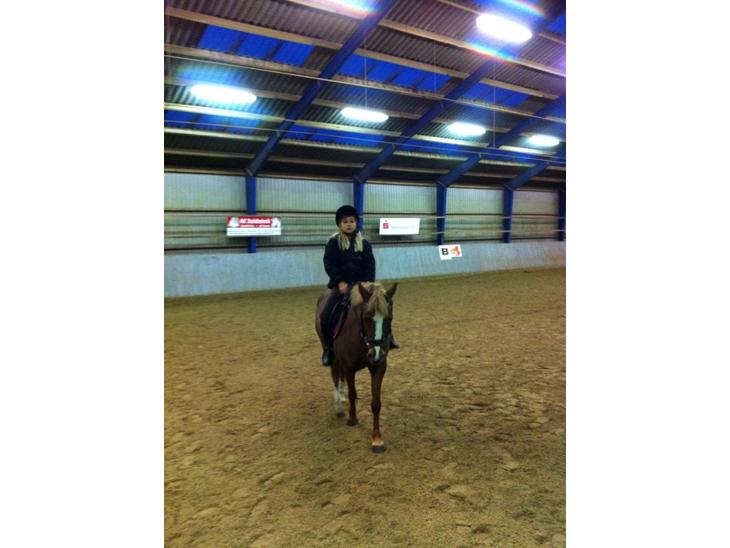 {{currentPhoto.altText}} billede {{currentPhoto.number}}