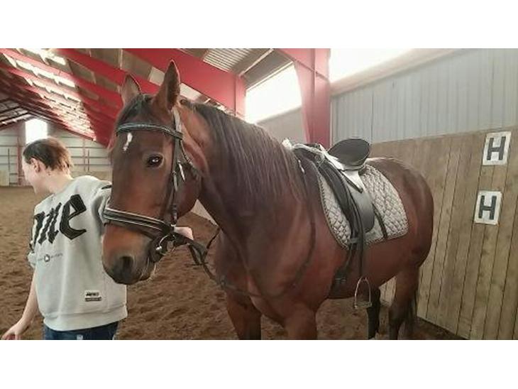 {{currentPhoto.altText}} billede {{currentPhoto.number}}