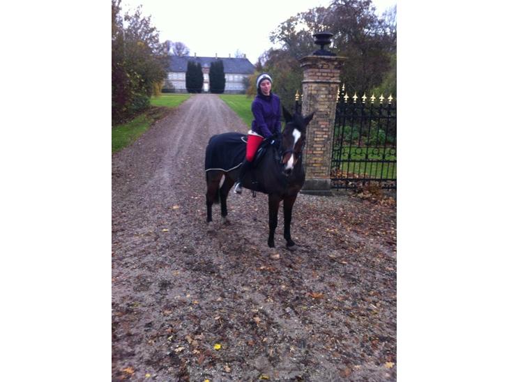 {{currentPhoto.altText}} billede {{currentPhoto.number}}