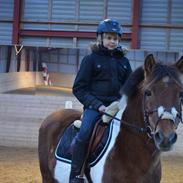 Anden særlig race Makker