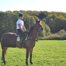 Anden særlig race Esmaralda