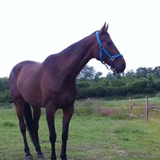 Traver Keegan Frazer