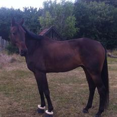 Traver Keegan Frazer