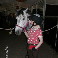 Anden særlig race Collexion