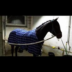 Anden særlig race Dumle<3 