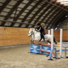 DSP Ryttergaardens Lille My<3