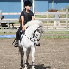 DSP Ryttergaardens Lille My<3