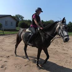 Anden særlig race soleo