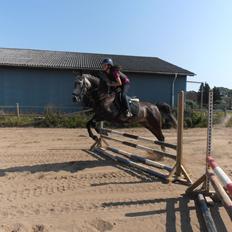 Anden særlig race soleo