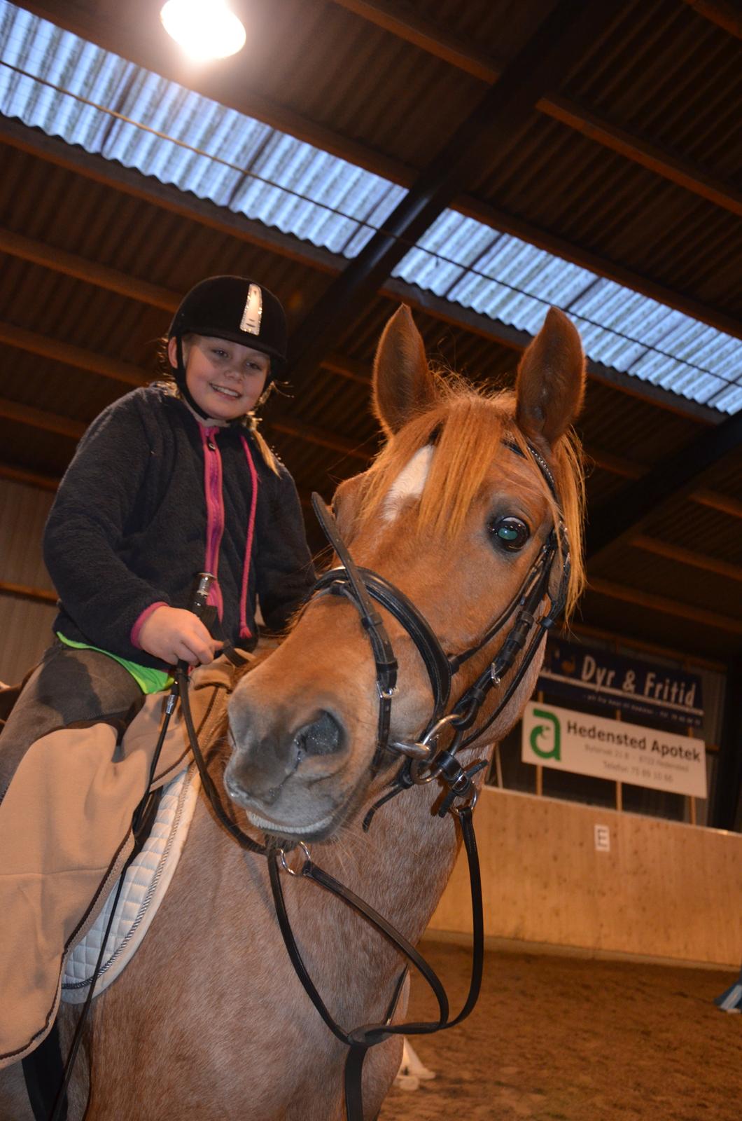 Anden særlig race Staldens Salina billede 4