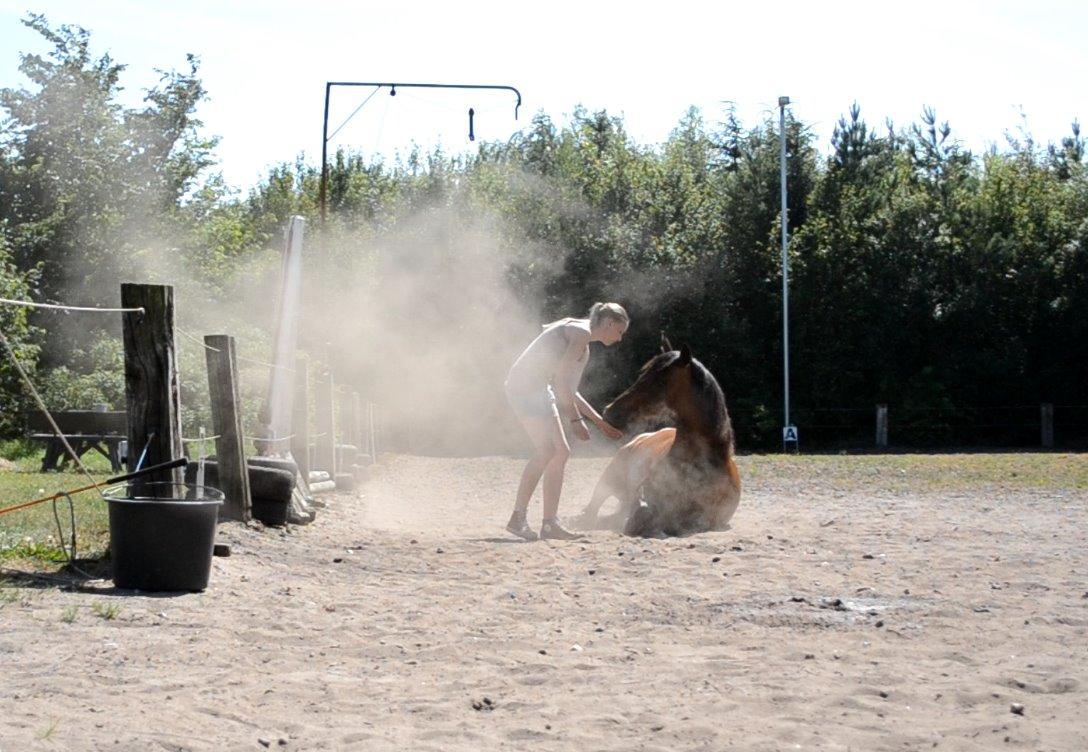 Traver | Kaliber Toft - Evigt fri <3 - Det er utroligt hvor meget sådan en hest kan betyde for en <3 [Taget ud af video] billede 17