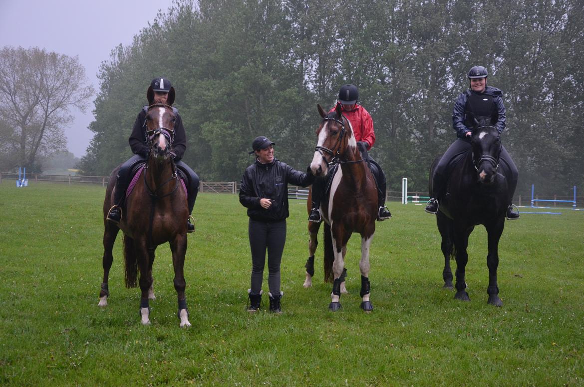 Dansk Varmblod Toskana billede 11