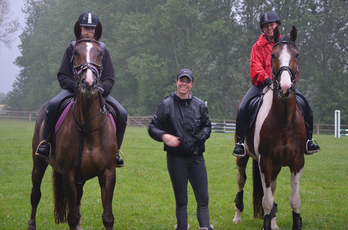 Dansk Varmblod Toskana billede 13