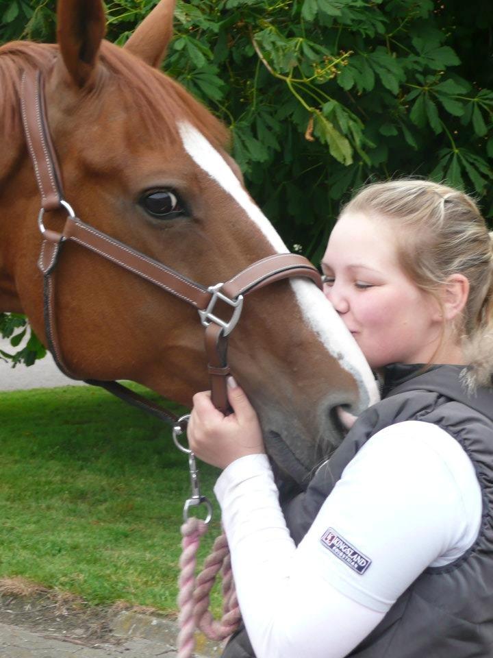 Trakehner Rosita (Bebs) - Min skat <3 billede 15