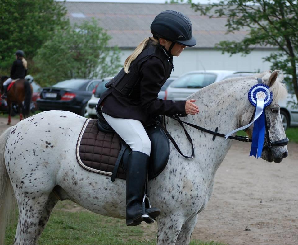 Anden særlig race Hoppity Hop (Verdens bedste pony)<3 - Hoppe og jeg vandt en 2 plads billede 15