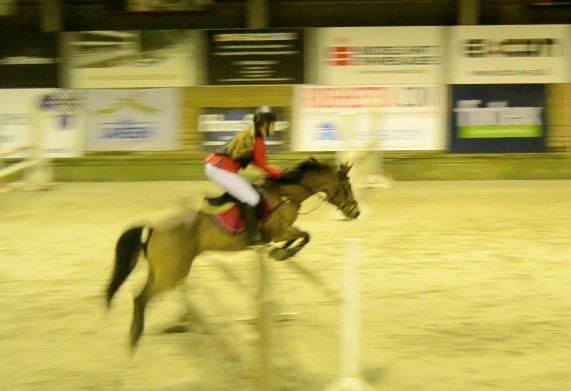 Anden særlig race Esmaralda - MB* i fredericia billede 4