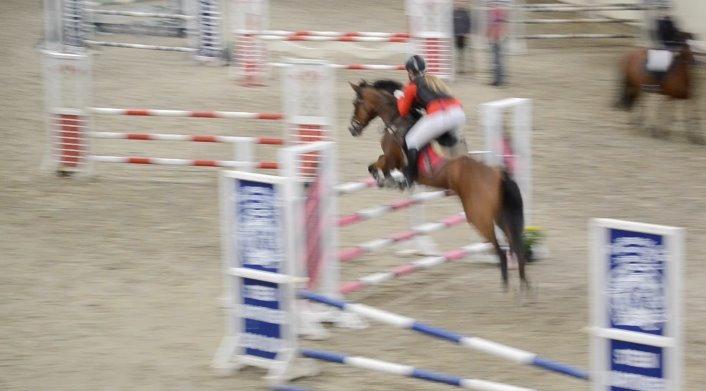 Anden særlig race Esmaralda - MB* i Boller billede 6