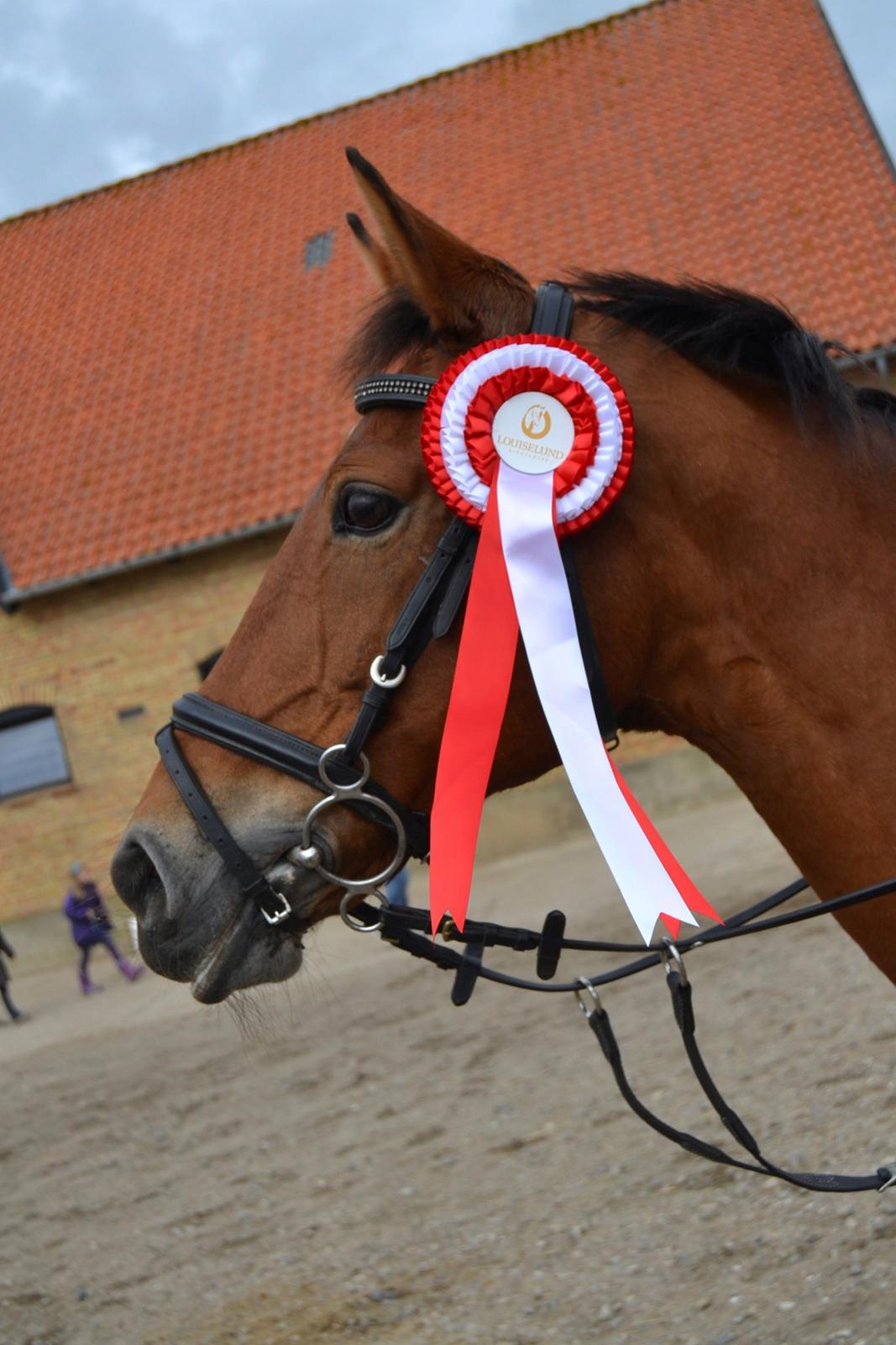 Anden særlig race Esmaralda - 1. plads i LA c-stævne billede 11
