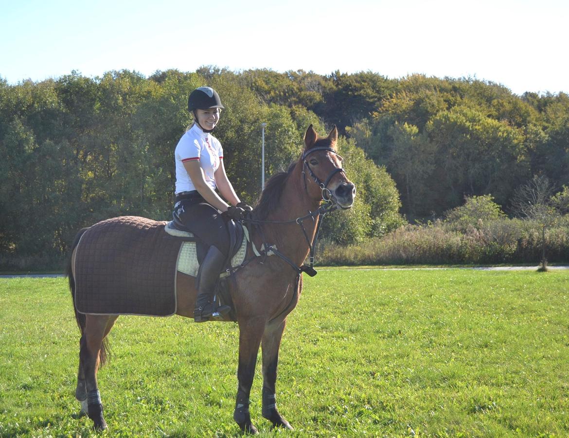Anden særlig race Esmaralda - Hygge stunder :-) billede 1