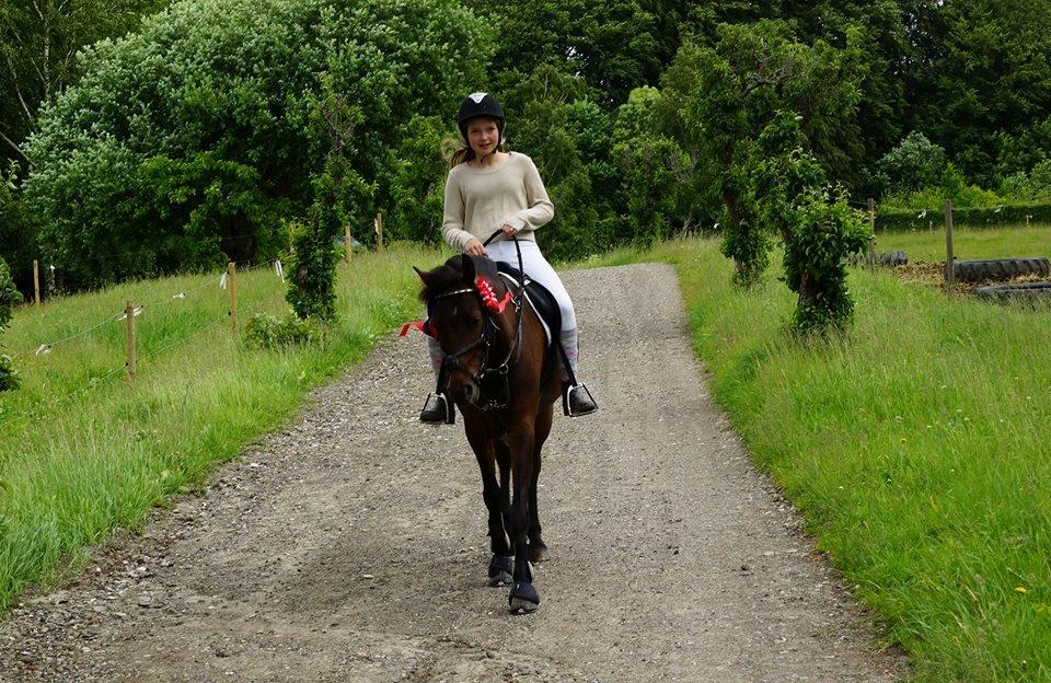 Anden særlig race Klosterskovens Lukas - På vej hjem fra stævne 2x første plads!!  billede 8