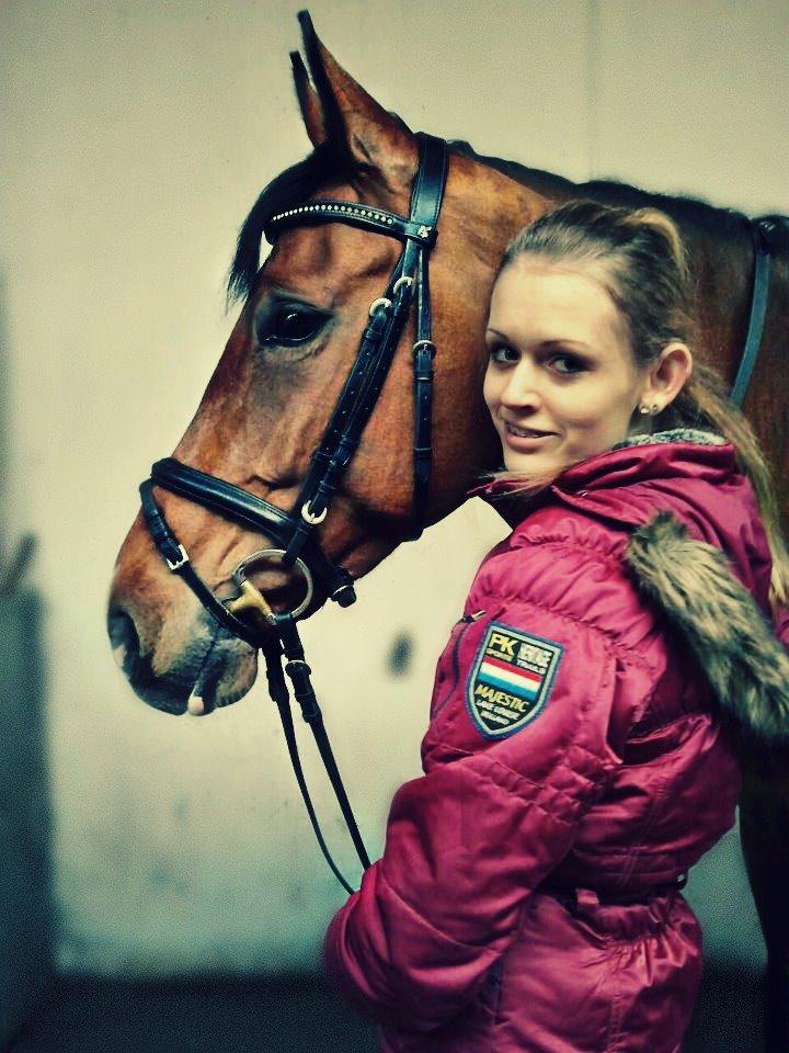 Dansk Varmblod RDH • Capella • billede 22