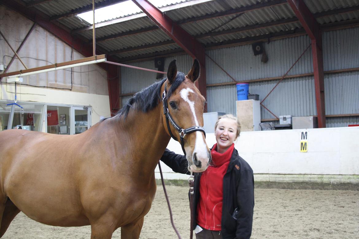 Dansk Varmblod RDH • Capella • billede 31