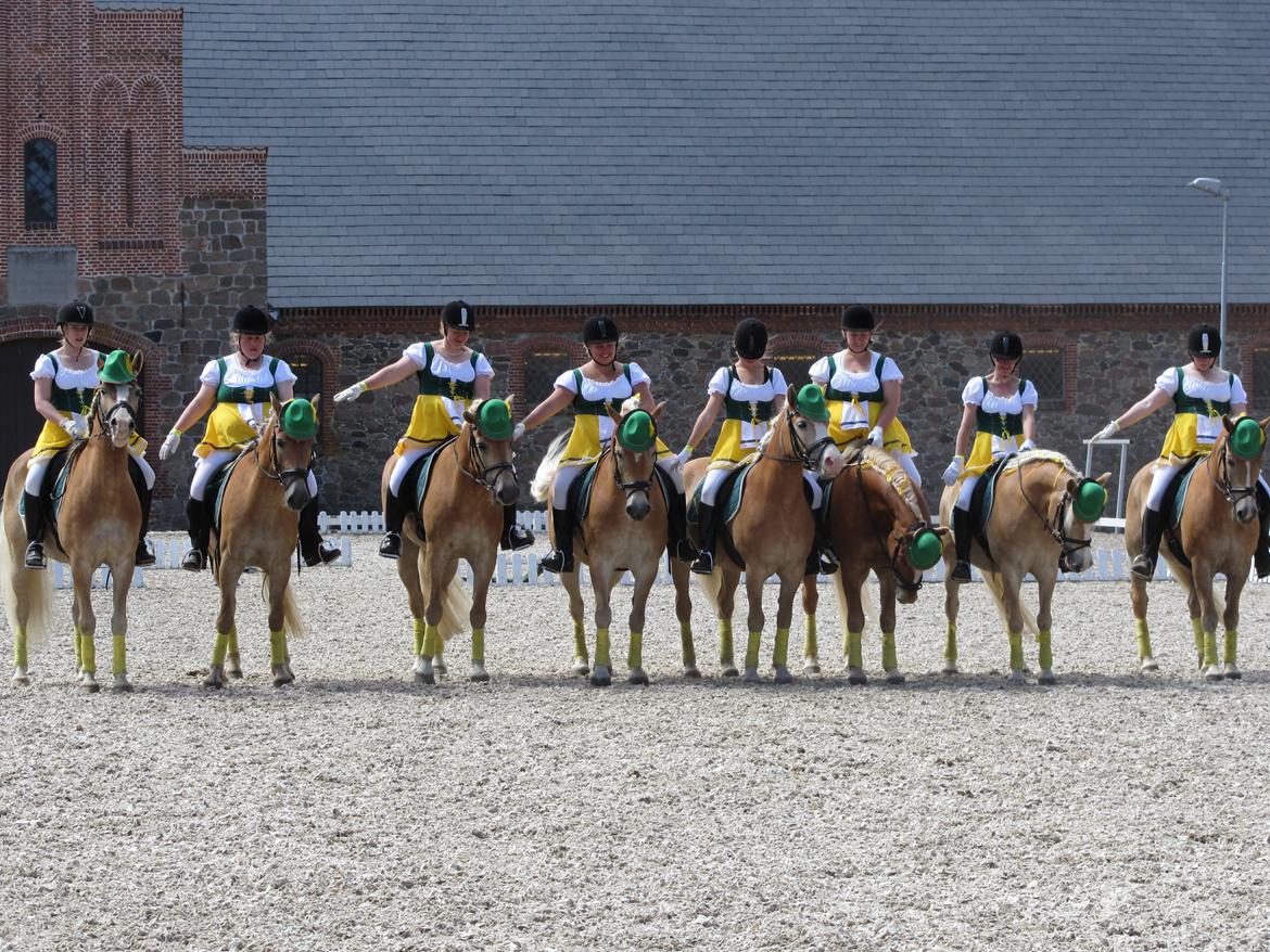 Haflinger Freja - Landsfinalerne i kvadrille 2013 billede 20