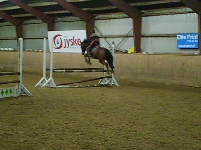 Anden særlig race Enghavegaards Lille Jensen - Efter 2 ½  måned sammen billede 9