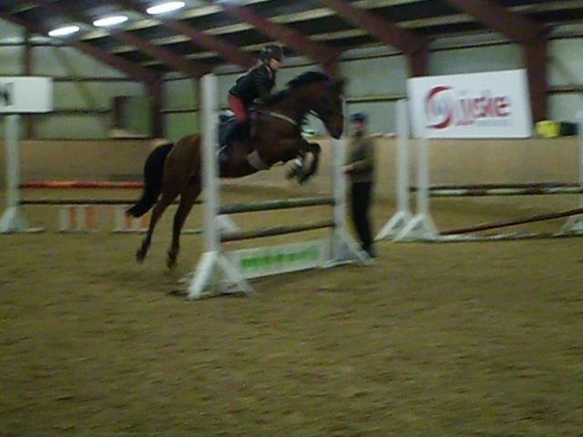 Anden særlig race Enghavegaards Lille Jensen billede 10