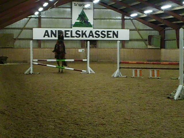 Anden særlig race Enghavegaards Lille Jensen billede 12