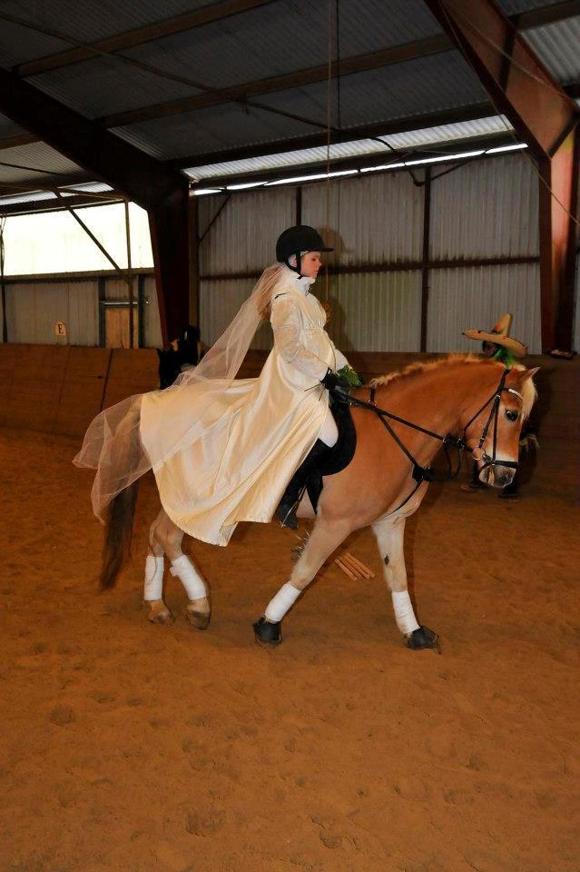 Haflinger Luca (guldponyen) - Fastalavns ridning, vi var brud og brudgom og vandt bedste udklædning:D billede 10