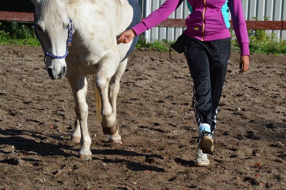 Anden særlig race Pepito my only one! <3 billede 17