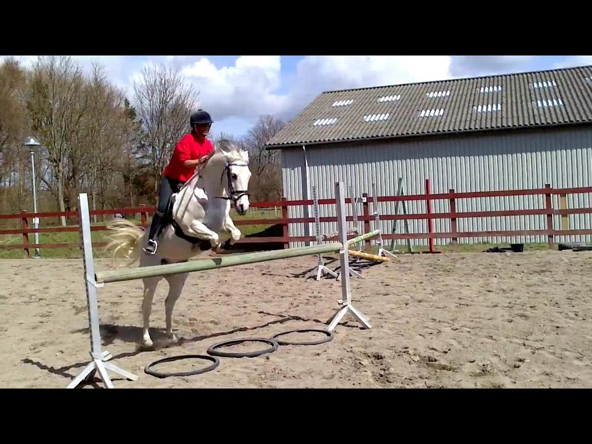 Anden særlig race Pepito my only one! <3 billede 18