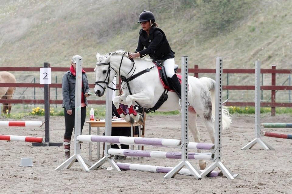 Anden særlig race Pepito my only one! <3 billede 21