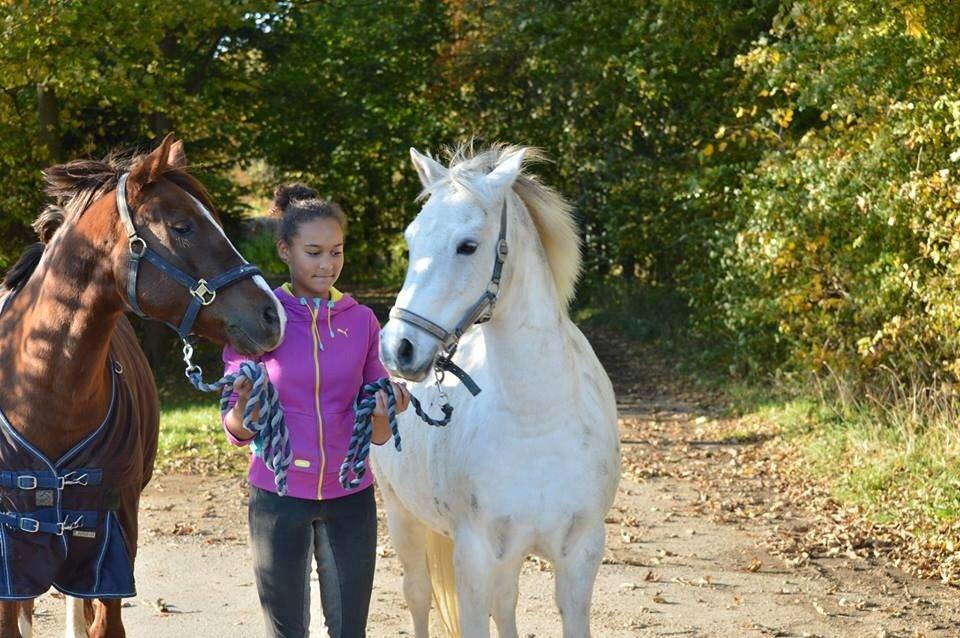 Anden særlig race Pepito my only one! <3 billede 22