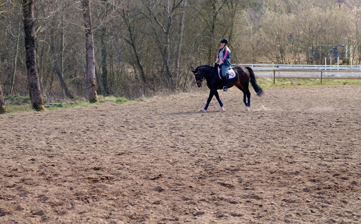 Anden særlig race | Chance - We Believe Together ♥

April 2013  ♥  billede 5