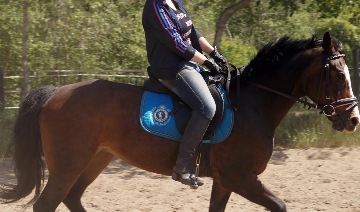 Anden særlig race | Chance - Lækker ponze! 

Juni 2013 ♥  billede 6