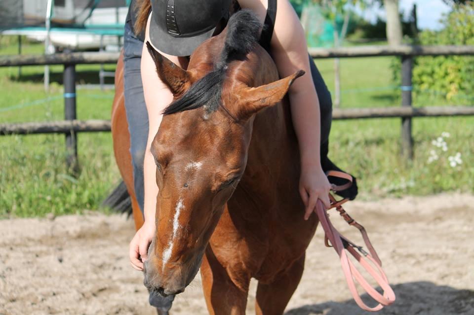 Anden særlig race - Kimse - Savner hende så meget. Ville ønske jeg kunne få det tilbage som vi havde.. Foto: Sille :D billede 20