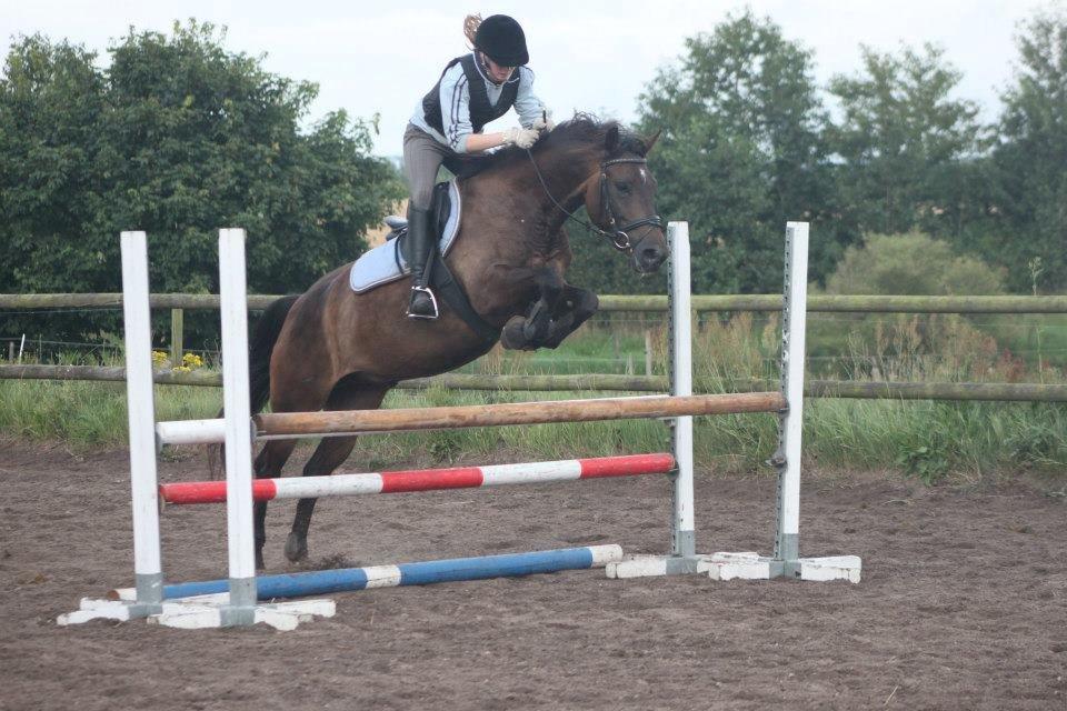 New Forest Holmens Kazai - Springtræning på ANE, en af de første gange dernede :) billede 20