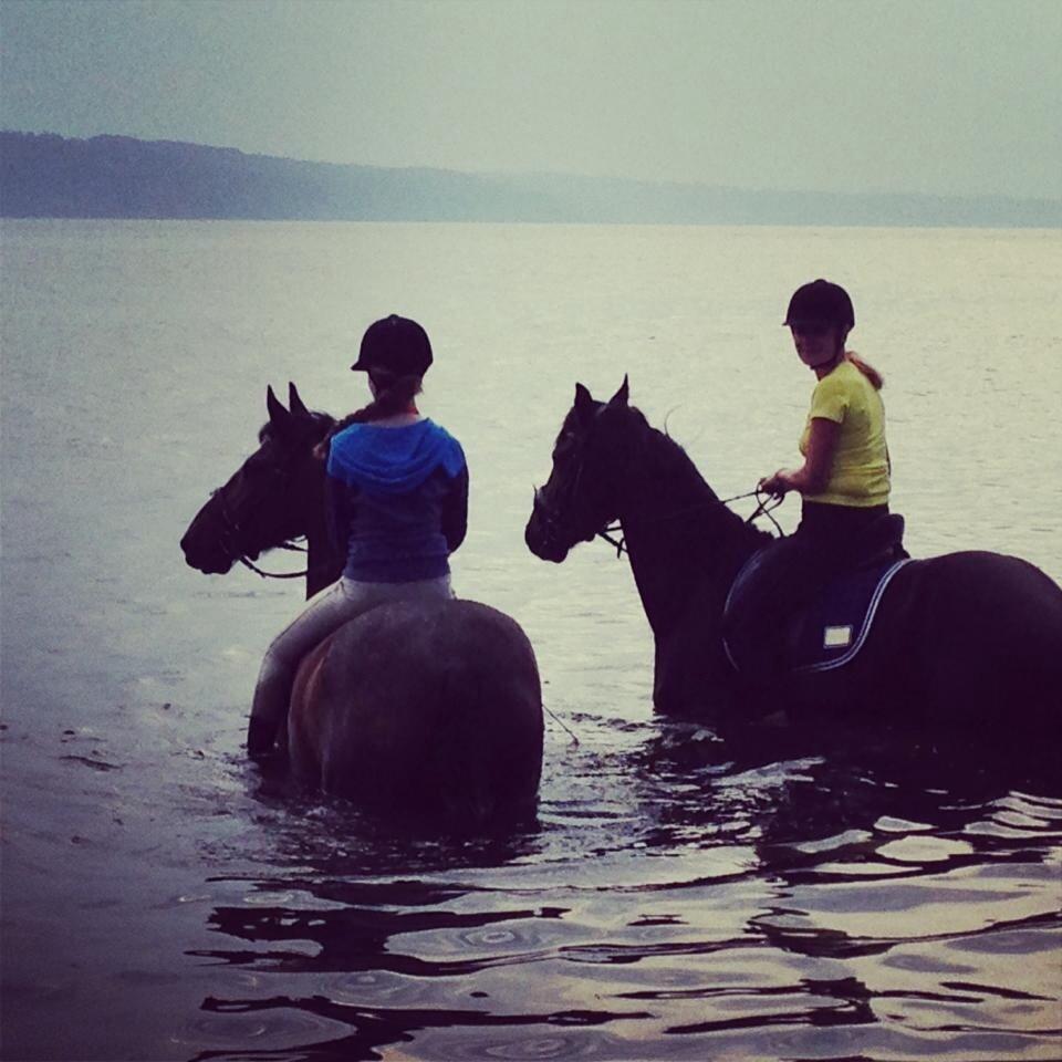 Frieser Douwe fan it Heim billede 7