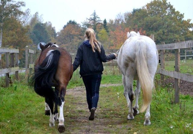 Anden særlig race Bianca billede 8