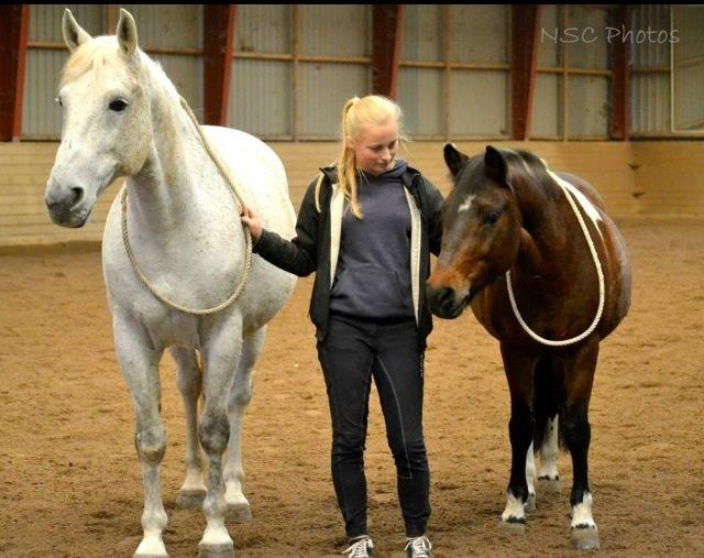 Anden særlig race Bianca billede 9
