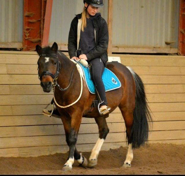 Anden særlig race Bianca billede 12