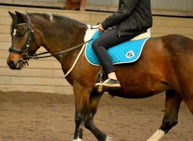 Anden særlig race Bianca billede 17