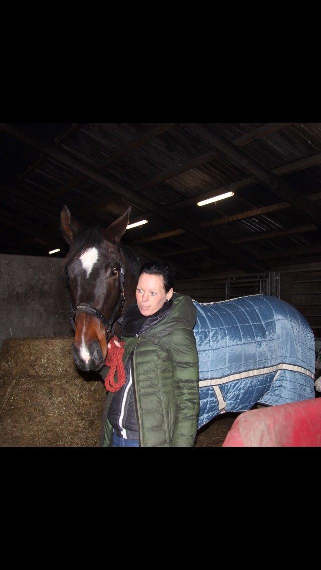 Dansk Varmblod Do Mali` billede 9