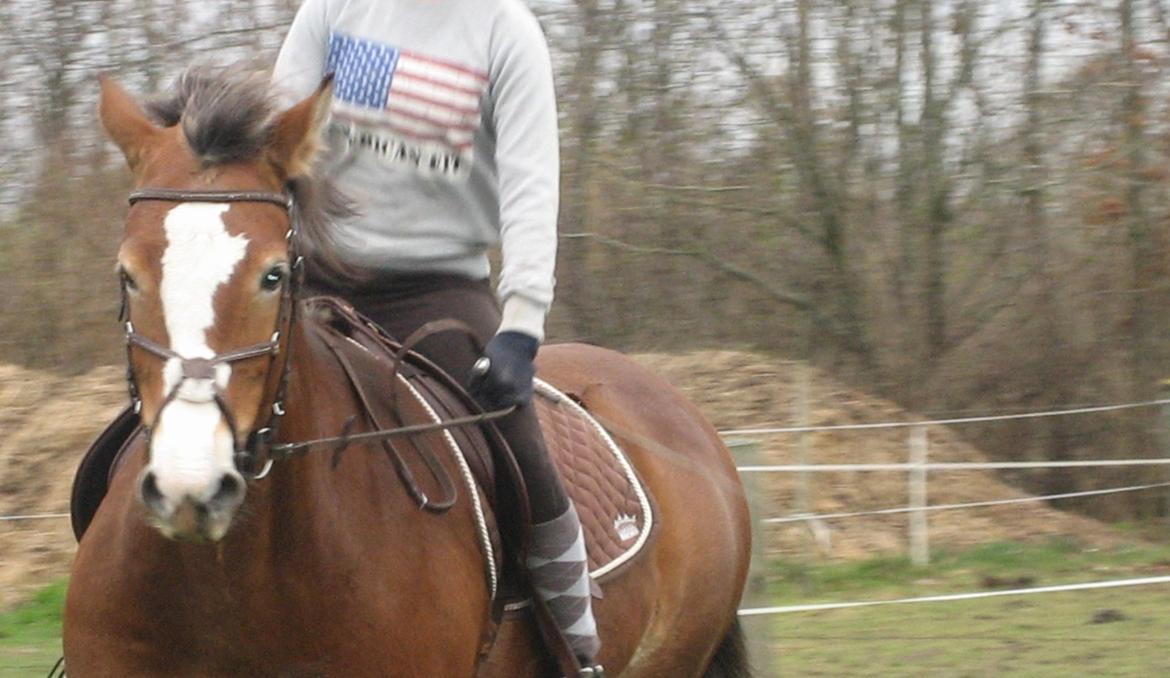 Anden særlig race My soulmate - Wariant <3 - Nogle af de første gange på ryggen af hende. Foto - Hannah.  billede 15