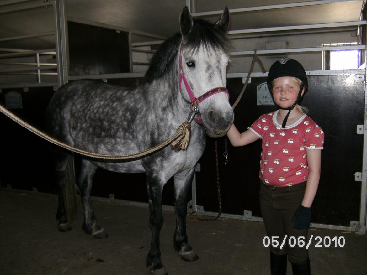 Anden særlig race Collexion - Da jeg var ude og købe Collexion billede 1