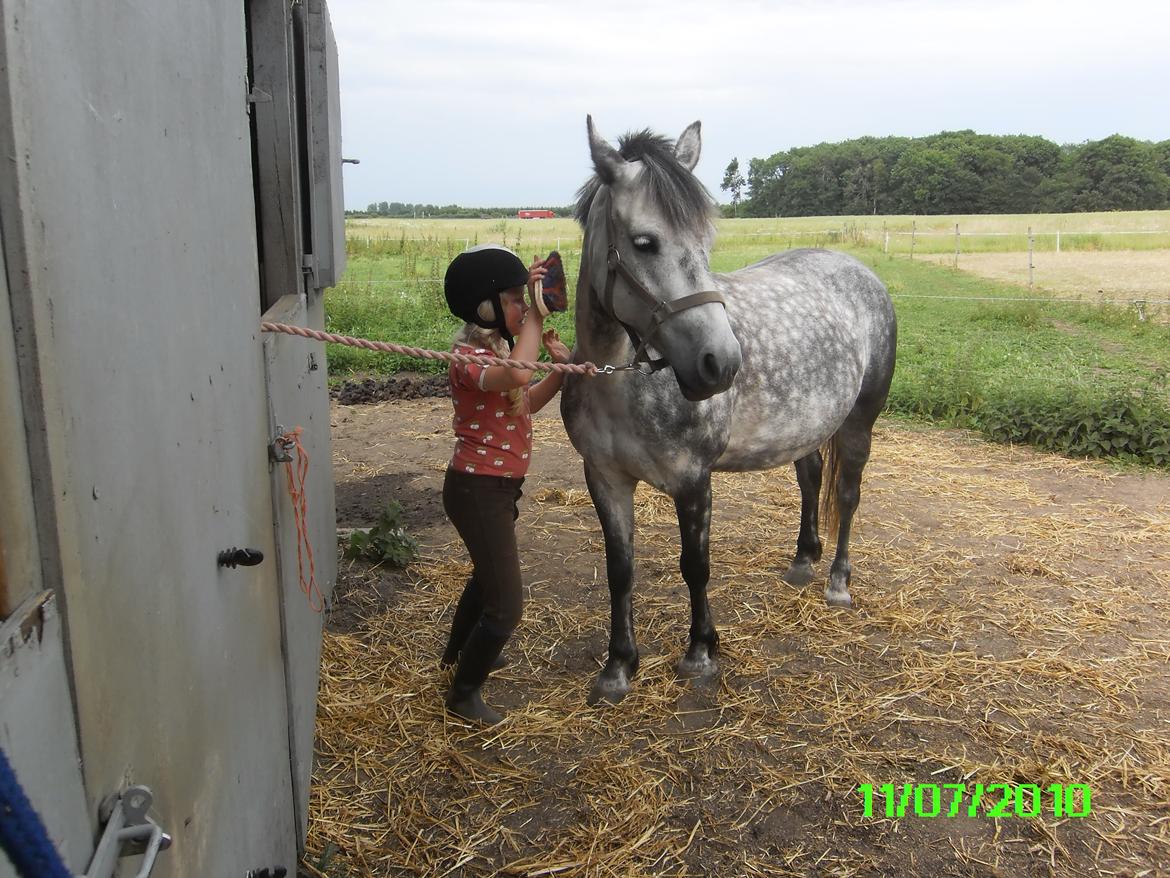 Anden særlig race Collexion - Da vi skulle ud og ride  billede 5