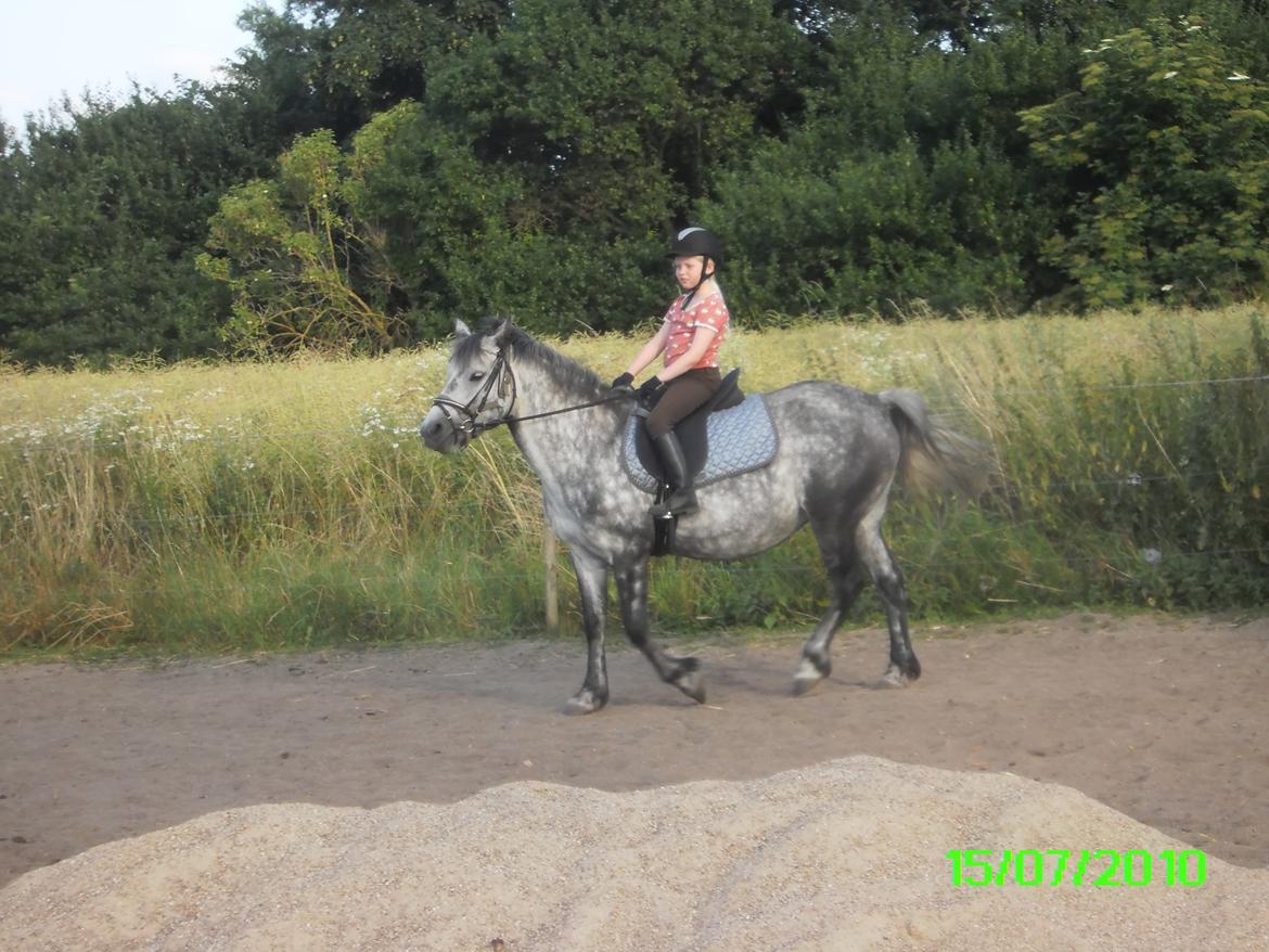 Anden særlig race Collexion - Rider på min baby billede 6